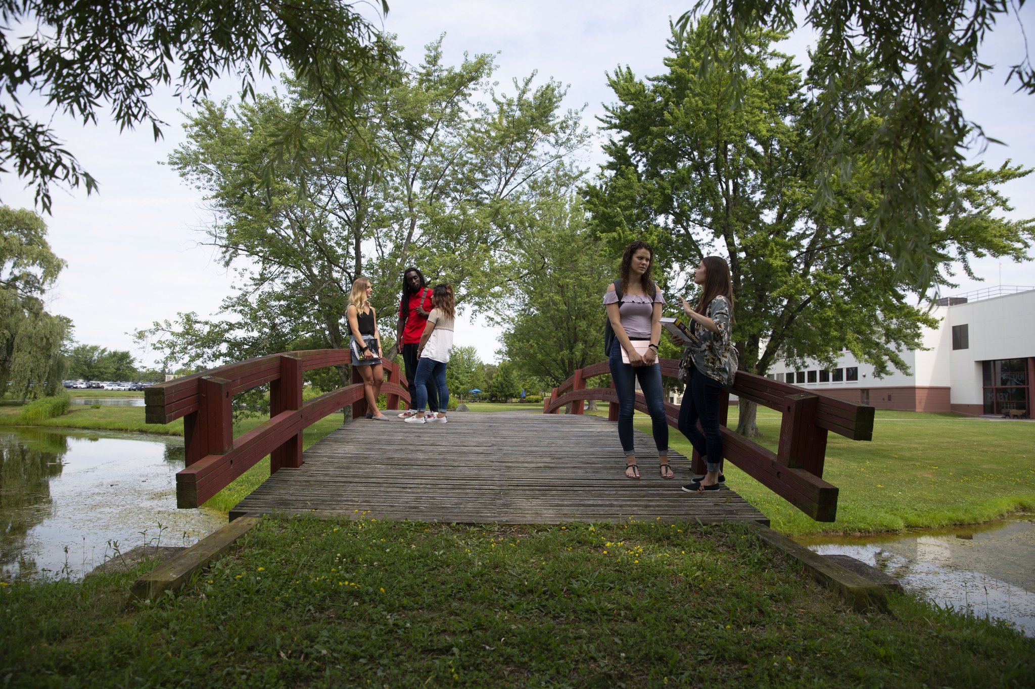 Northeast College of Health Sciences on Twitter "Find out how