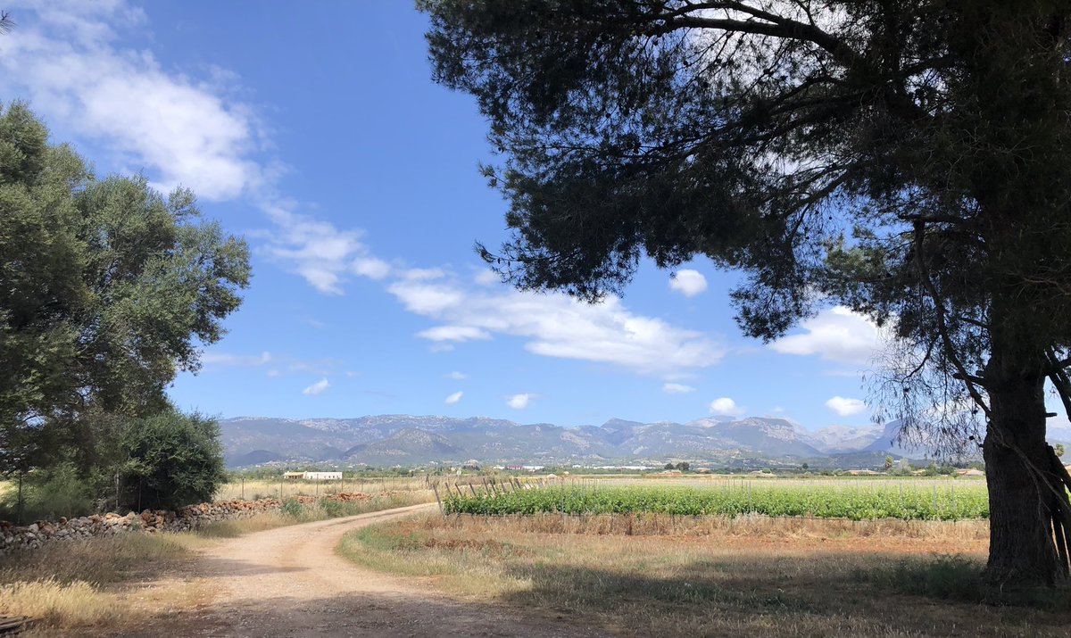 LEGRO's tweet photo. Had a day out with fitness4adventure to a winery near Santa Maria. 🍷
#legroscyclingexperience #mallorca #ClubDelSol #fit4adventure #secrettraining https://t.co/3EPR9cA1O7