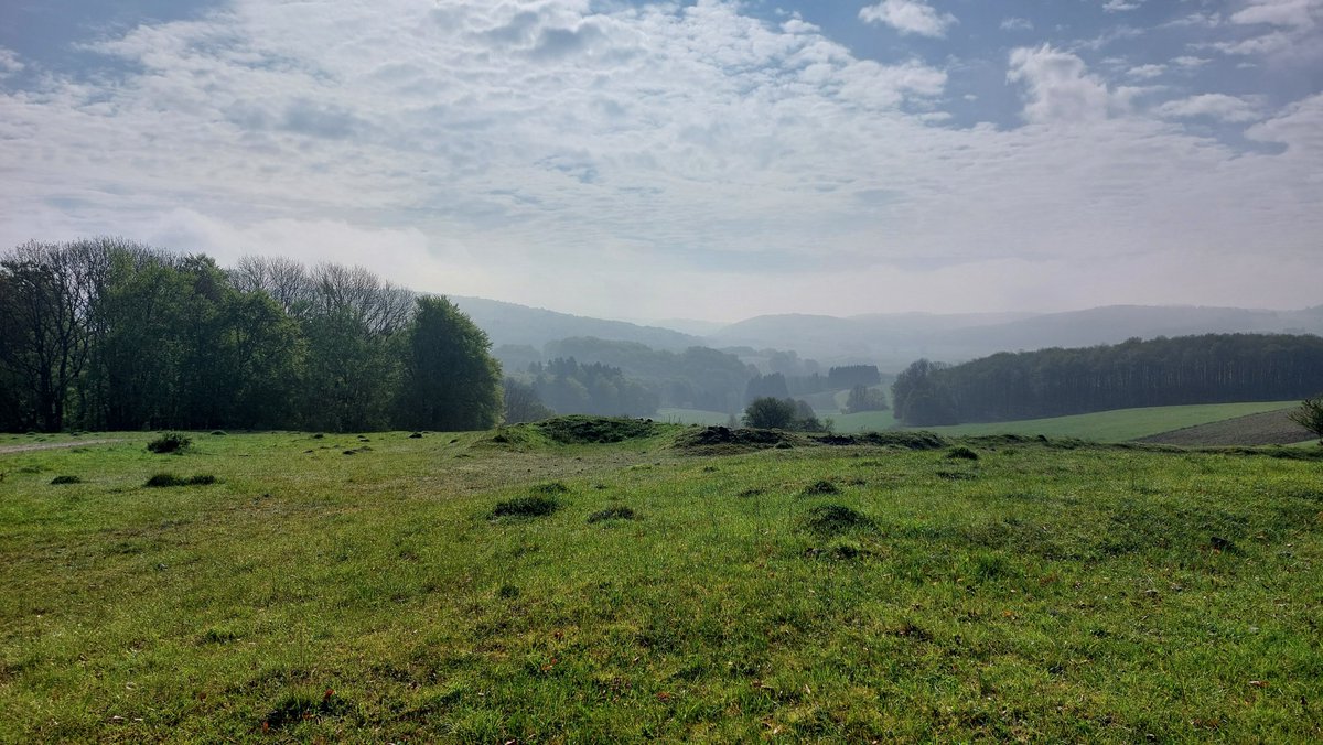 BExplo_de's tweet photo. Die schönen Seiten der #Soil Sampling Campaign:
Morgenstimmung auf dem ehem. Truppenübungsplatz im #AlbExploratorium. https://t.co/BLDaksYxrd