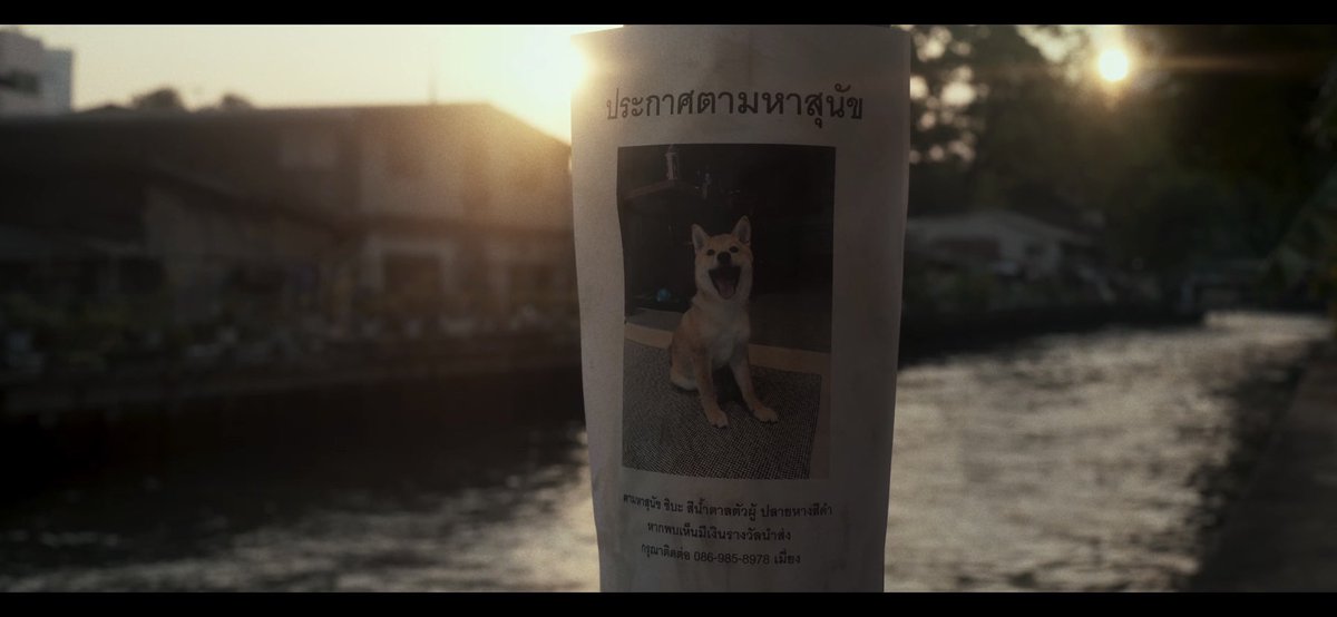 leclandestine's tweet photo. ‘ถ้ารู้ว่าครั้งนั้นมันเป็นครั้งสุดท้าย คงทิ้งทุกอย่างเพื่อแลกเธอไว้’

— ถ้ารู้ว่าเธอจะหายไป (dept) https://t.co/6lVRlP6ahn