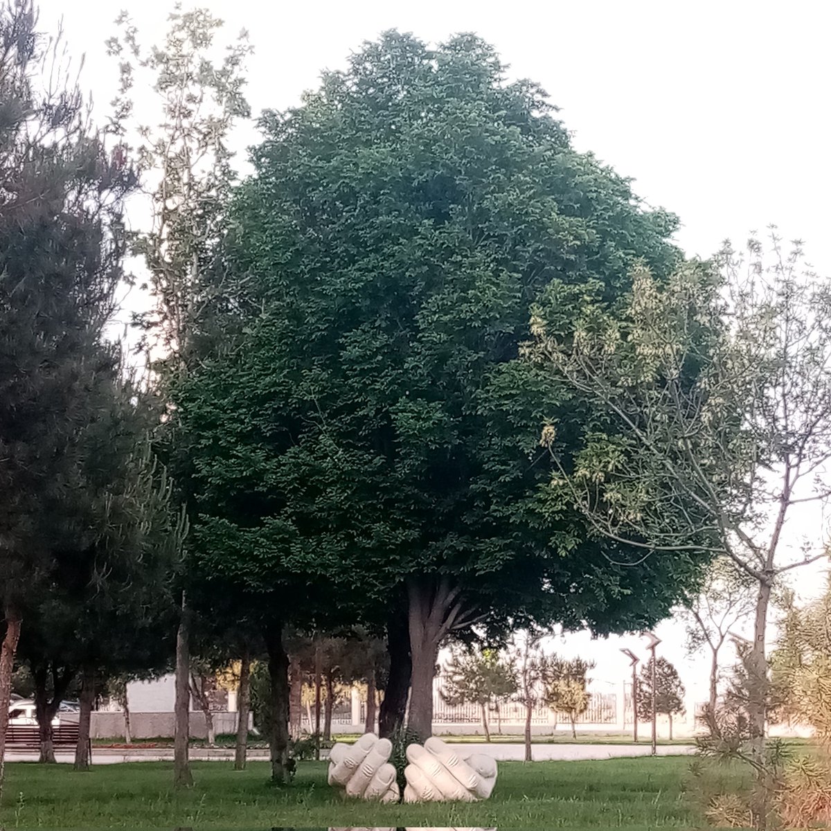 tajik_am's tweet photo. #НоваяАватарка https://t.co/wyqkN5SczX