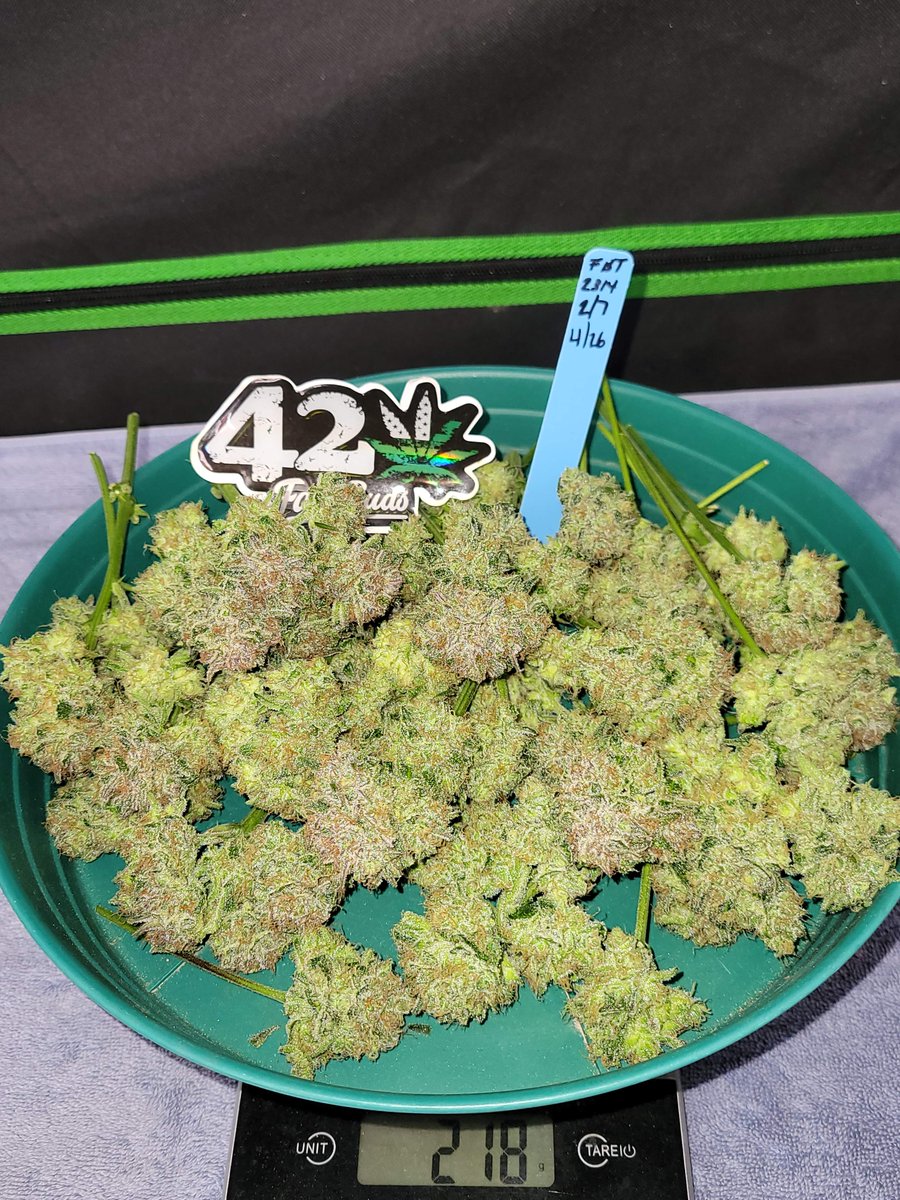 🍑Apricot Auto🍑
Great taste in every hit. Sour apricot marmalade terps that’ll hypnotize your taste buds.
Fruitylicious harvests. Up to 550g/m2 in 9 -10 weeks!
Get 20% OFF with the code TWITTER👉bit.ly/3mums8k
By 🧑‍🌾 Chubbs