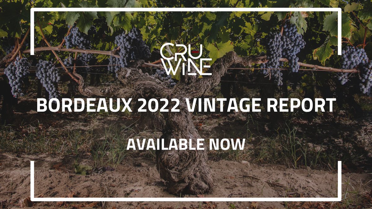 Cru Wine tweet media