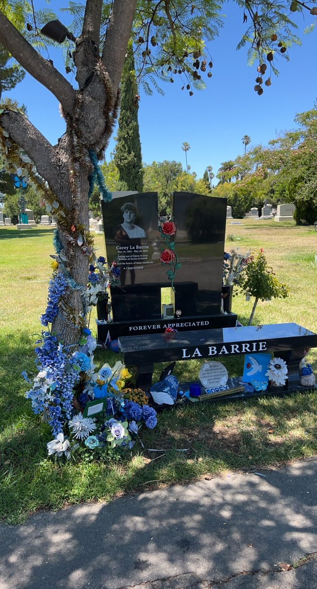 Miss you more than words can say buddy 💙