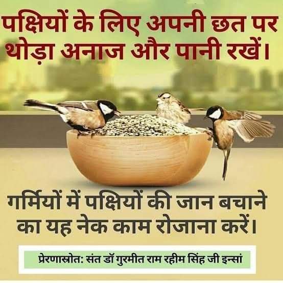 loverabse_'s tweet photo. #NurtureBirds
इस चिलचिलाते गर्मी के मौसम में बहुत से पक्षी दाना पानी न मिलने से मर जाते हैं आप सब अपने घर की छत पर पंछियों को दाना पानी जरूर रखें!
#BirdsNurturing
#FeedLittleCreatures
#DeraSachaSauda
#SaintDrMSG
#BabaRamRahim
#SaintRamRahimJi
#SaintDrGurmeetRamRahimSinghJi https://t.co/nGbG6zub5T