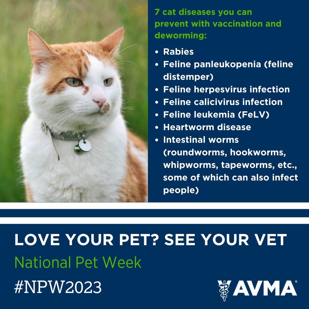 Preventive care for your pet does just what its name suggests – it can prevent diseases that can put your pet’s life in jeopardy &amp; be costly to treat. As part of today's #NPW2023, here are 7 cat diseases that can be prevented with vaccination &amp; deworming: bit.ly/3t5t3DR
