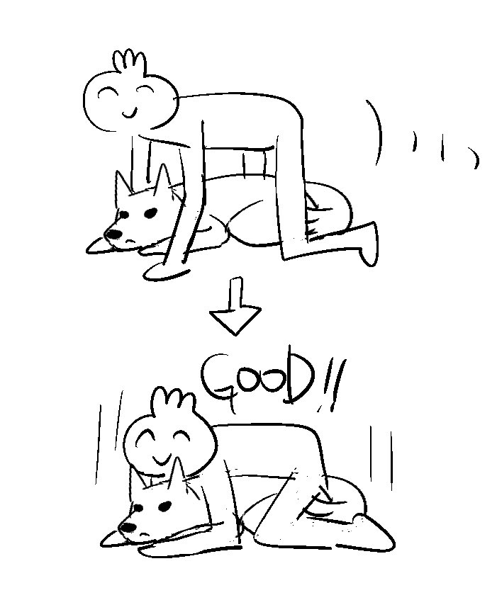 犬に最近これやる