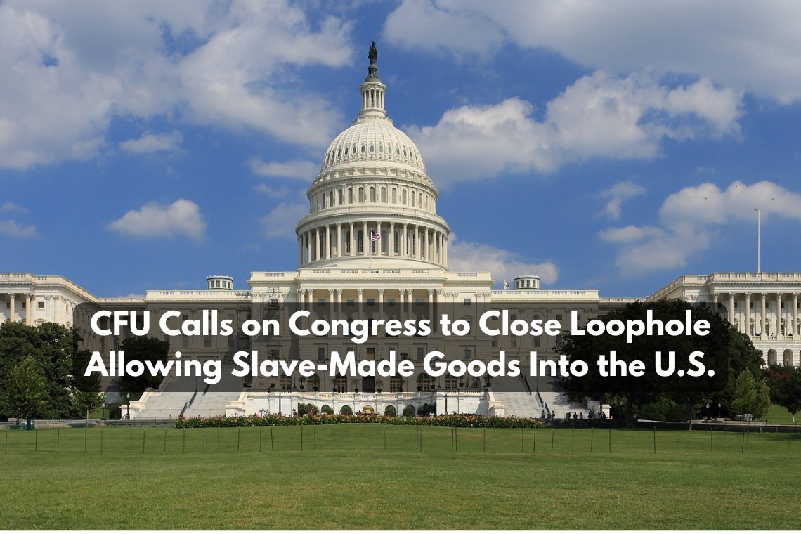 CUyghurs's tweet photo. CFU calls on the #US Congress to reassess the de minimis rule in order to close a loophole in the application of #UFLPA to support #Uyghur rights &amp; #American interests.

Follow 🧵for more👇
https://t.co/NPd1HpRkGn https://t.co/bS3obxuQU5