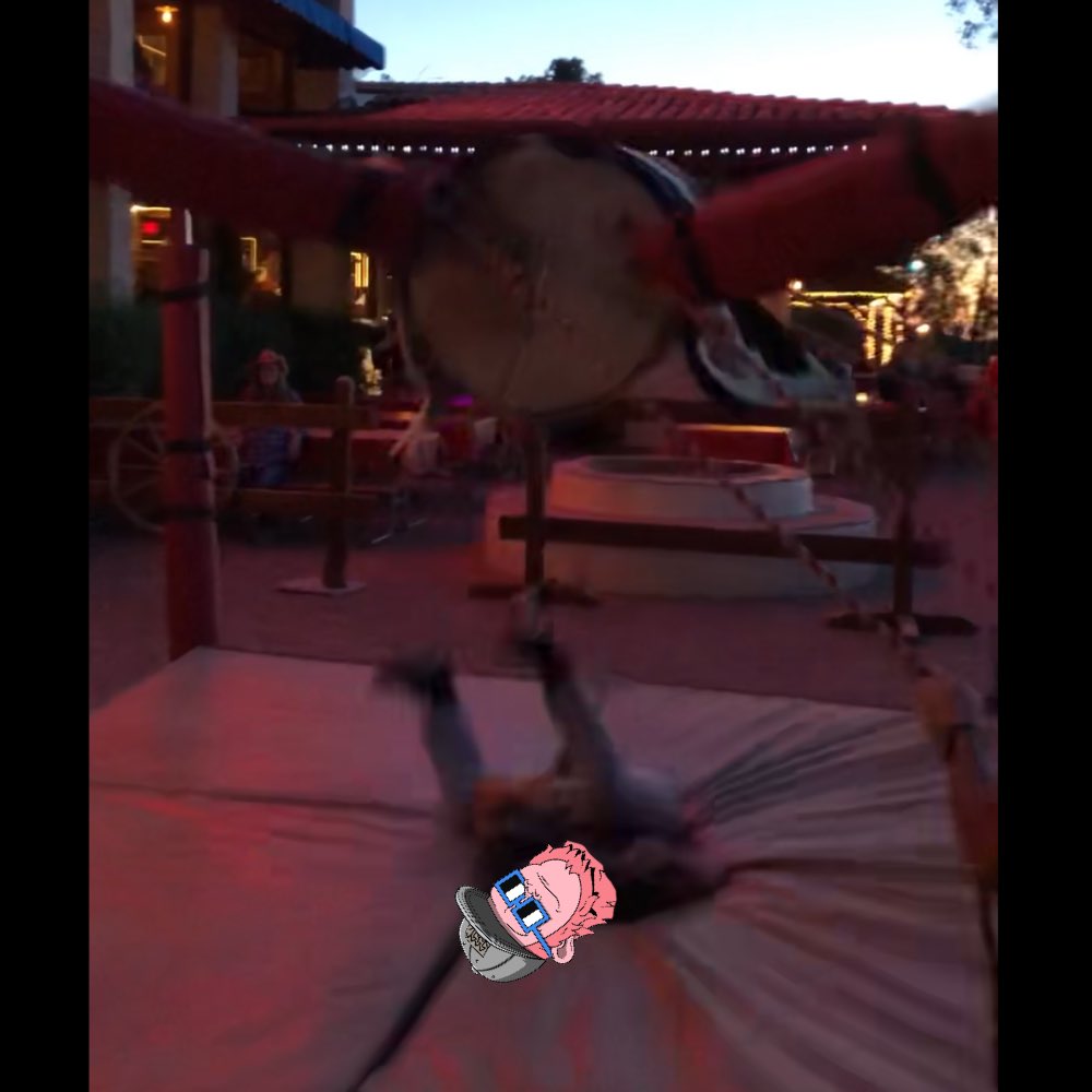 DaveHarlow's tweet photo. A couple pics of my “bull” ride last night… #weoutthere #staysassy LG @ShreddingSassy fam! (Yes. My neck is thrashed rn… LOL… feeling old, but still charging!) https://t.co/VkcLyGtfQb
