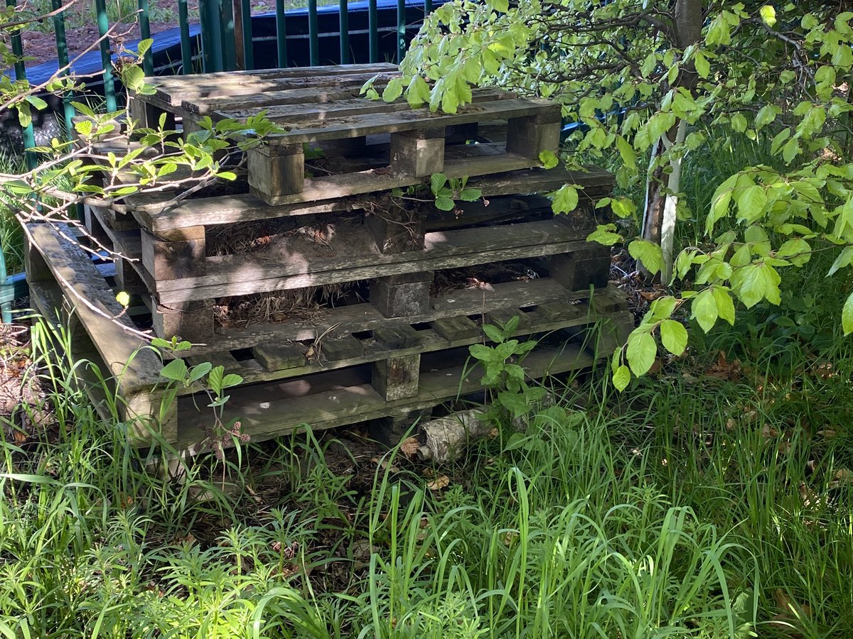 dpsforestschool tweet media