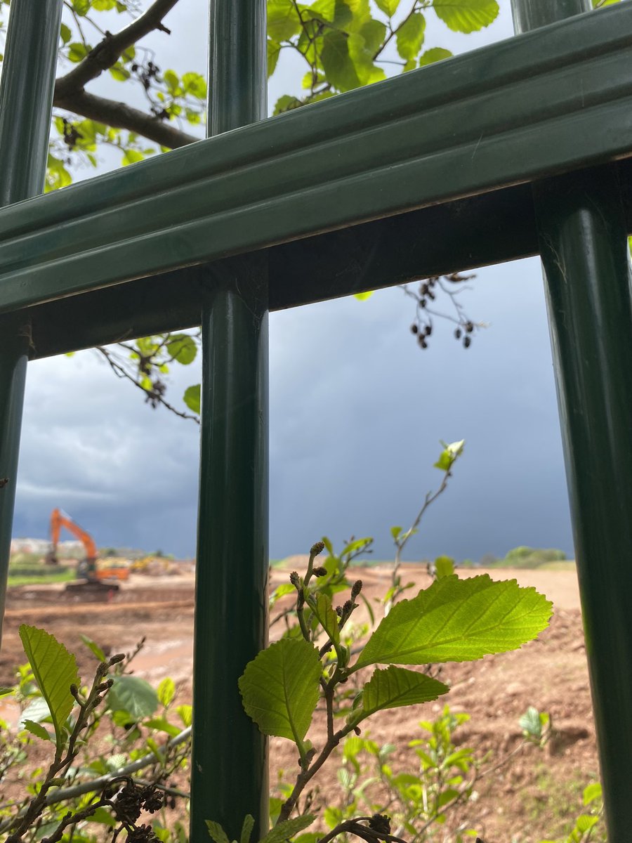 dpsforestschool tweet media