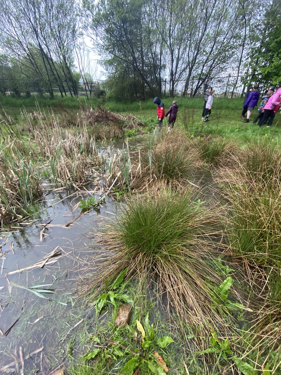 dpsforestschool tweet media