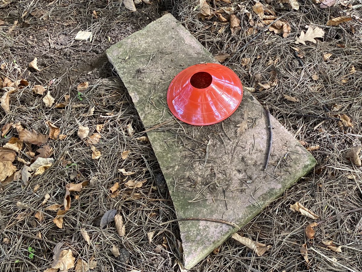 dpsforestschool tweet media