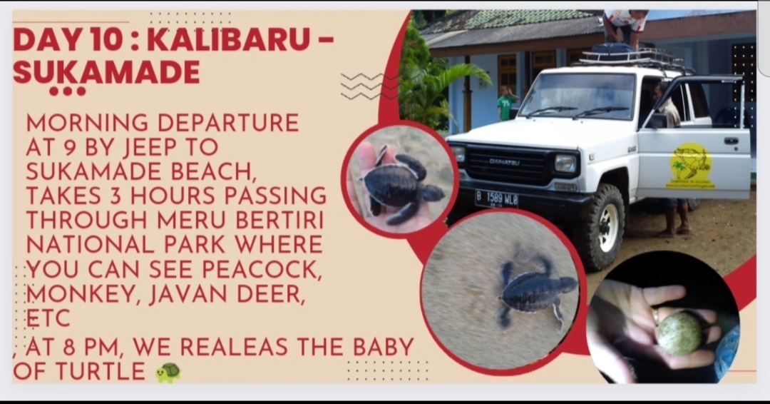 #12daysbestofjavabalioverlandtour #LewisTour #dmc #travelindonesia