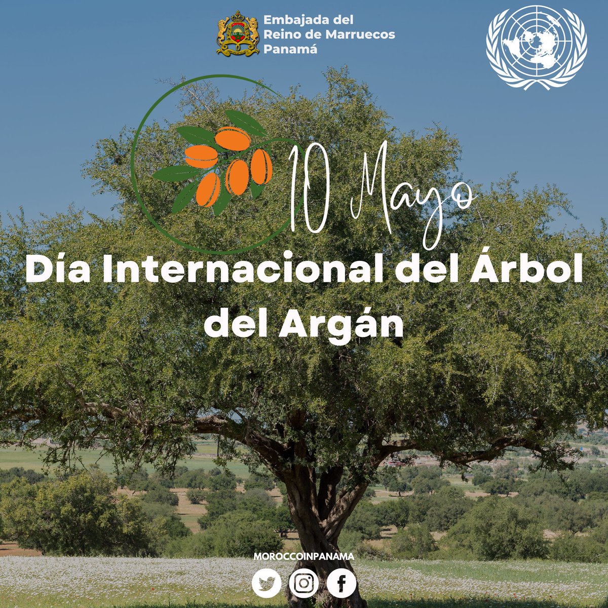 MoroccoPanama's tweet photo. #Marruecos🇲🇦 y las Naciones Unidas celebrarán el Día Internacional del Árbol de #Argán 🌳el 10 de mayo en Nueva York.
ℹ️ https://t.co/qlOzGEPhGb
#IntDayOfArgania
#اليوم_الدولي_لشجرة_الأركان
#Argantree @CancilleriaPma @DiplomaciaM @FAO https://t.co/P9hTlZpyoJ