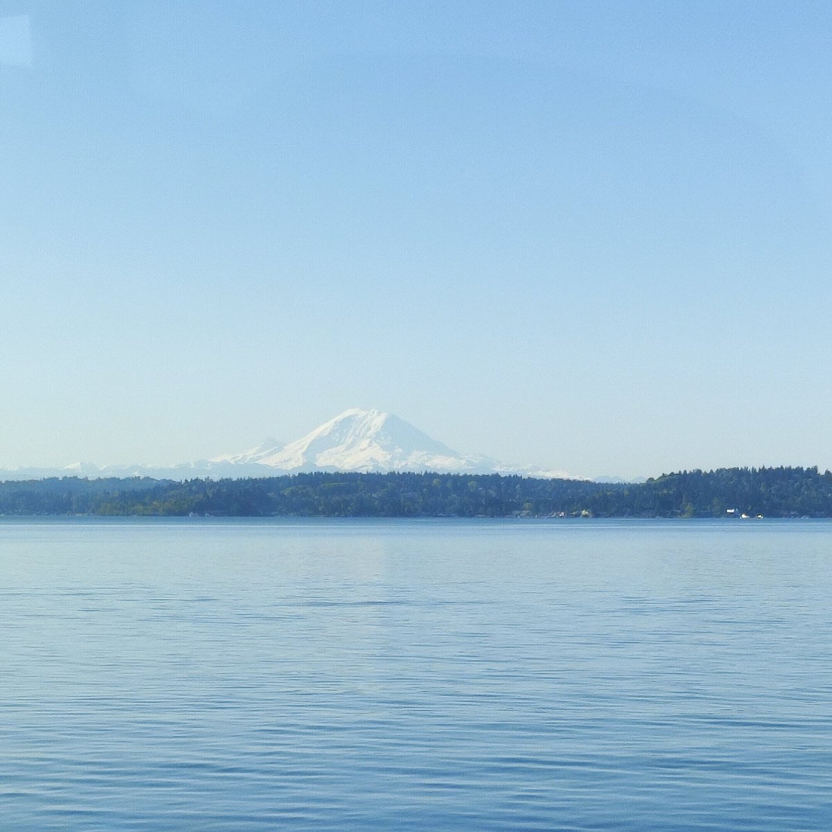 analisoto's tweet photo. The mountain is out today 😍 https://t.co/bJ0UmpwcM9