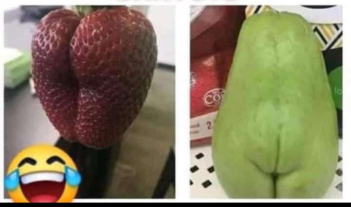 Chicas ustedes de cuales son ?