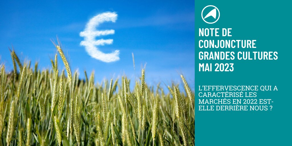 📰L’effervescence qui a caractérisé les marchés en 2022 est-elle derrière nous ?
Difficile pour les acteurs économiques de prendre une décision rationnelle, d’où l’importance décisive prise par l’information dans l’économie. 
🔗A lire ici chambres-agriculture.fr/publications/t…