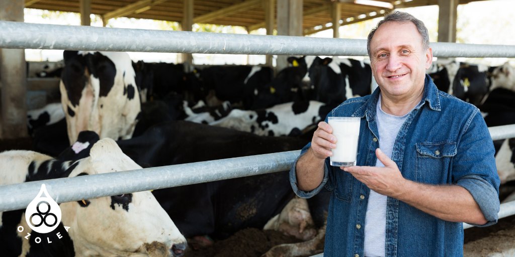 Since the beginning, OZOLEA considered all the potential factors that would have shaped dairy farming, including consumer's expectations. In this 2021 Hoard's Dairyman Guest Blog, we discussed how OZOLEA can help dairy farmers meet their goals 👉 bit.ly/3HXEtUG 💧