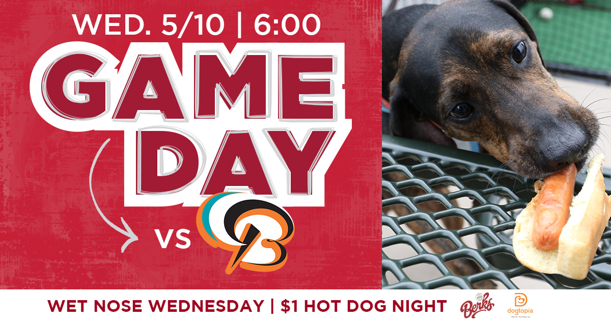 Harrisburg Senators on X: SUPER DOG DAY! $1 Hot Dogs and Wet Nose  Wednesday!! ($1 hot dogs do not include The Spot) Get your tickets:   Reminder: pup is not allowed on