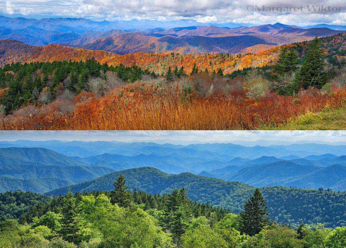 Blue Ridge Mountains
fineartamerica.com/profiles/malgo…
 #smokymountains #naturephoto #nature #smokies #blueridgemountains #pic #photooftheday #outdoorphotography #photo #explore #travel #photography #northcarolina #asheville #gatlinburg #art #ashevillenc #AYearForArt #BuyIntoArt