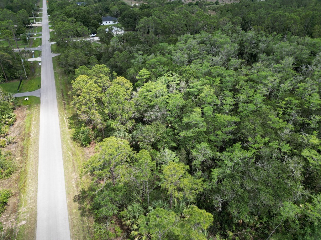 Sandsrepm's tweet photo. Country living 20 minutes from the gulf of Mexico. 
2 to 5 acre plots are still available throughout Bonita and Naples. Want the #beachlife but not the traffic? 

Want more info on how we can turn your dream into a reality? It's simple. 
… https://t.co/rUhLdDzinb https://t.co/2mTdCpfQVH