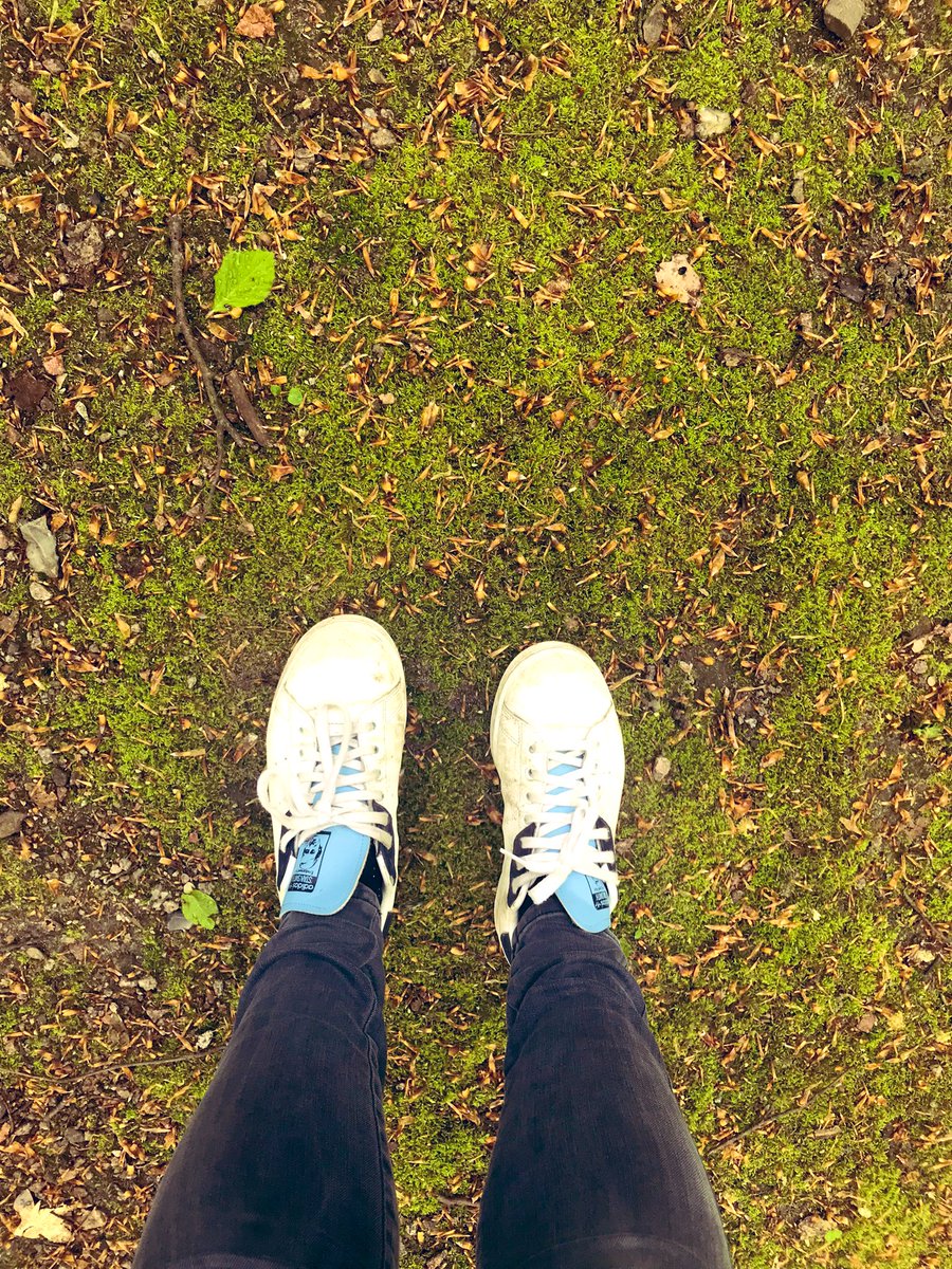 Mein alter Chef hat für alles immer einen Waldspaziergang empfohlen.
Haben ihn immer belächelt.
Spoiler: Er hatte recht.