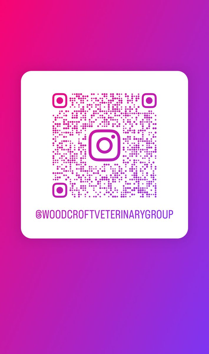 Woodcroft Veterinary Group tweet media