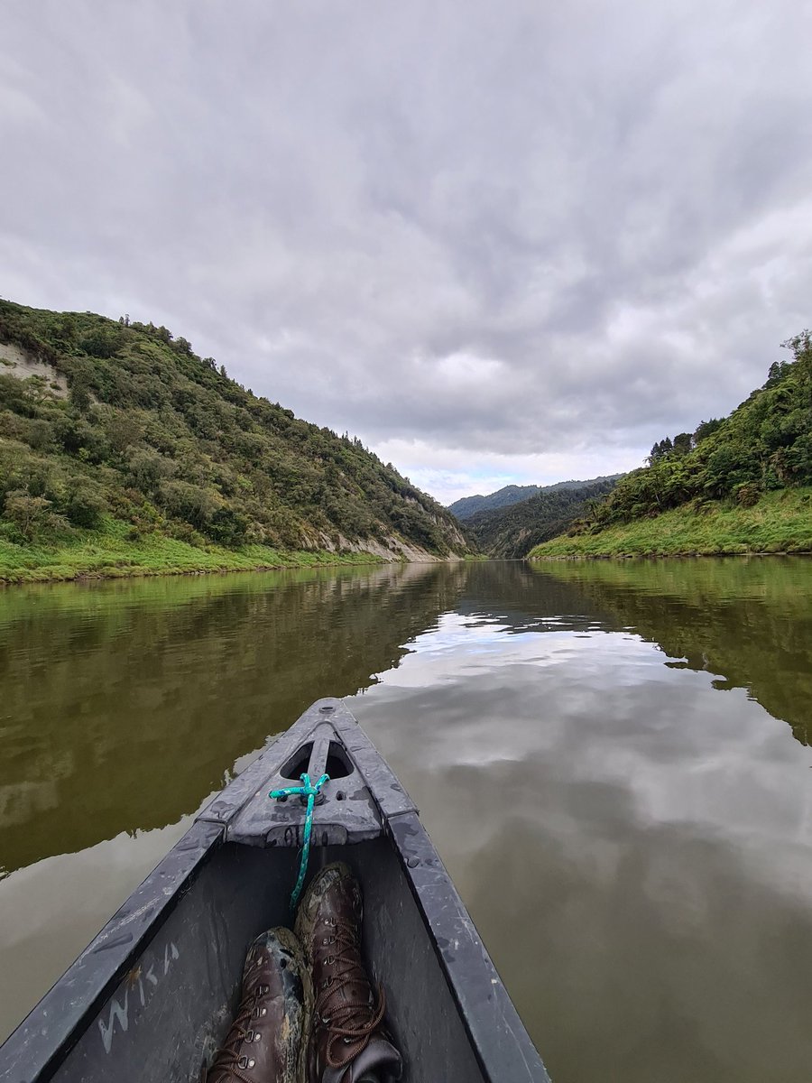 Neil W Williams tweet media