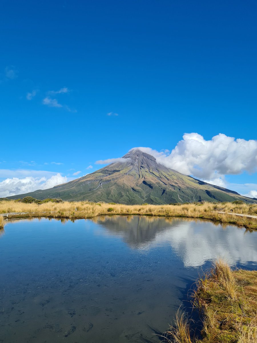 Neil W Williams tweet media