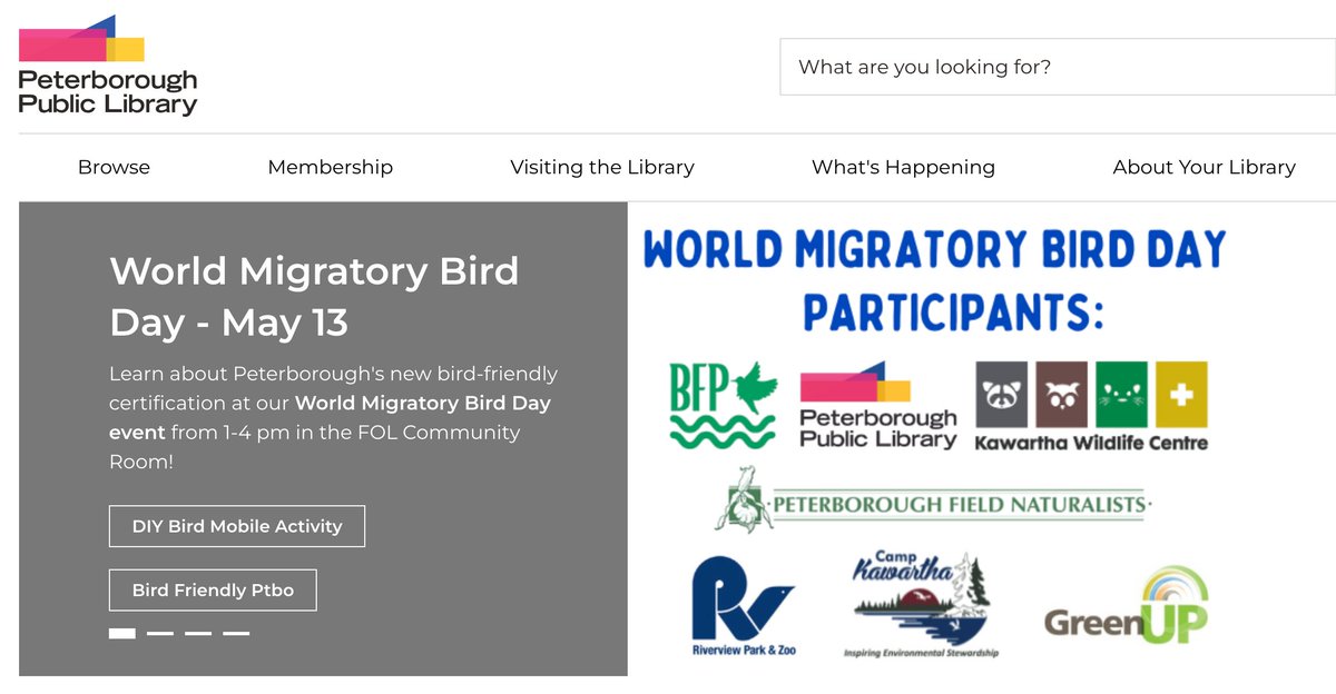 PathwayProject_'s tweet image. Great event this weekend at the PTBO Library to celebrate World Migratory Bird Day!

World Migratory Bird Day
Saturday May 13, 2023 
Time: 1-4 
Location: Peterborough Public Library, FOL Community Room
Cost: Free 
ptbolibrary.ca