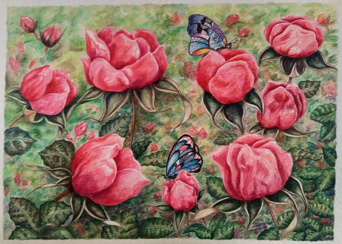 paroleprepny tweet media