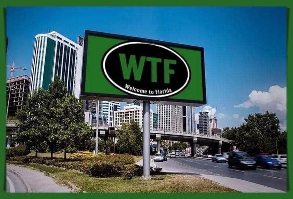overseaseyes1's tweet photo. So perfectly Florida! https://t.co/QeqDwkrMNx