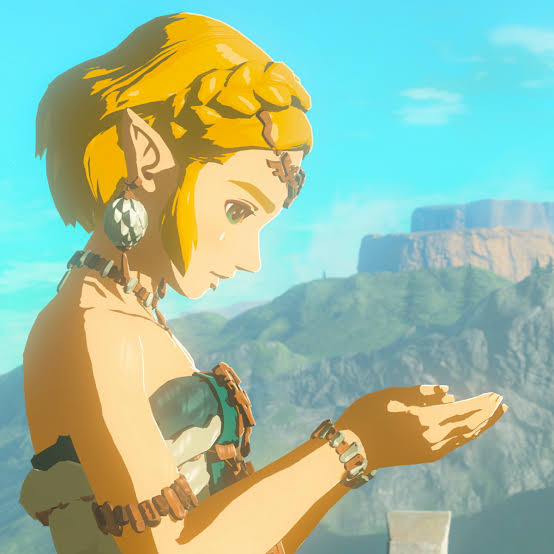 Days After Zelda ToTK tweet media