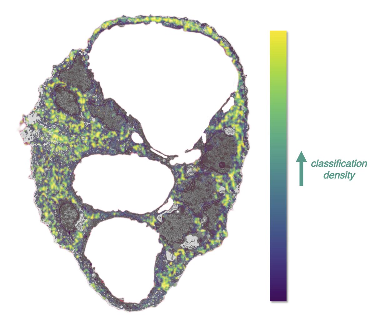 Science Scribbler tweet media