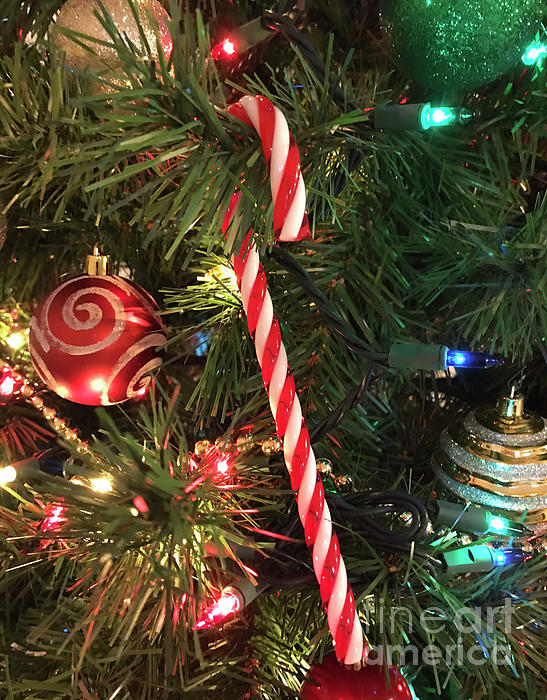 judecreek2's tweet photo. New artwork for sale! - "Candy cane" - https://t.co/qDifRo0f8l @fineartamerica https://t.co/T1KjAhYOzb