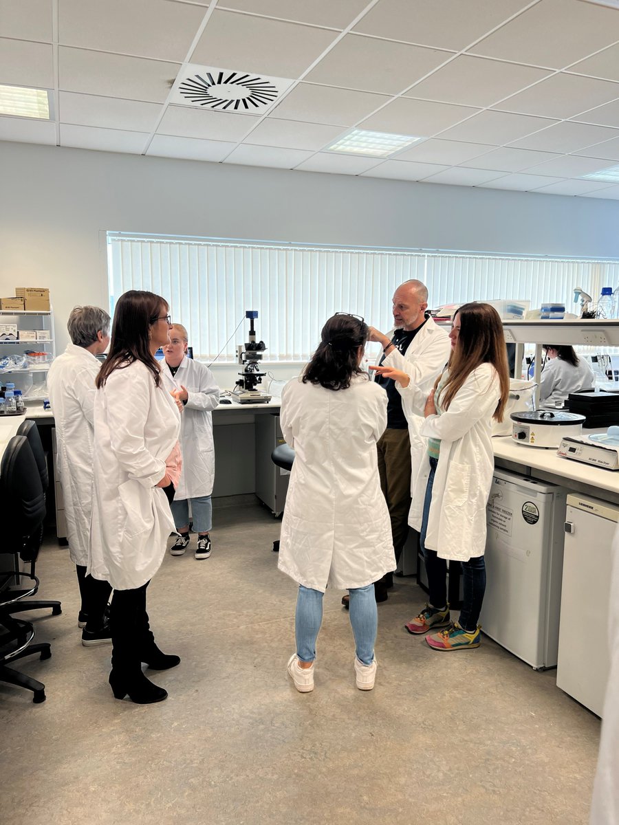 mscymru's tweet photo. Today, the @mscymru team had the fantastic opportunity to visit @swanseauni for an away day focused on deepening our understanding of multiple sclerosis (MS). Thank you to the amazing staff who shared their expertise and insights on MS research. 

#MSSocietyCymru #MSSocietyUK https://t.co/gGtQ7nC394