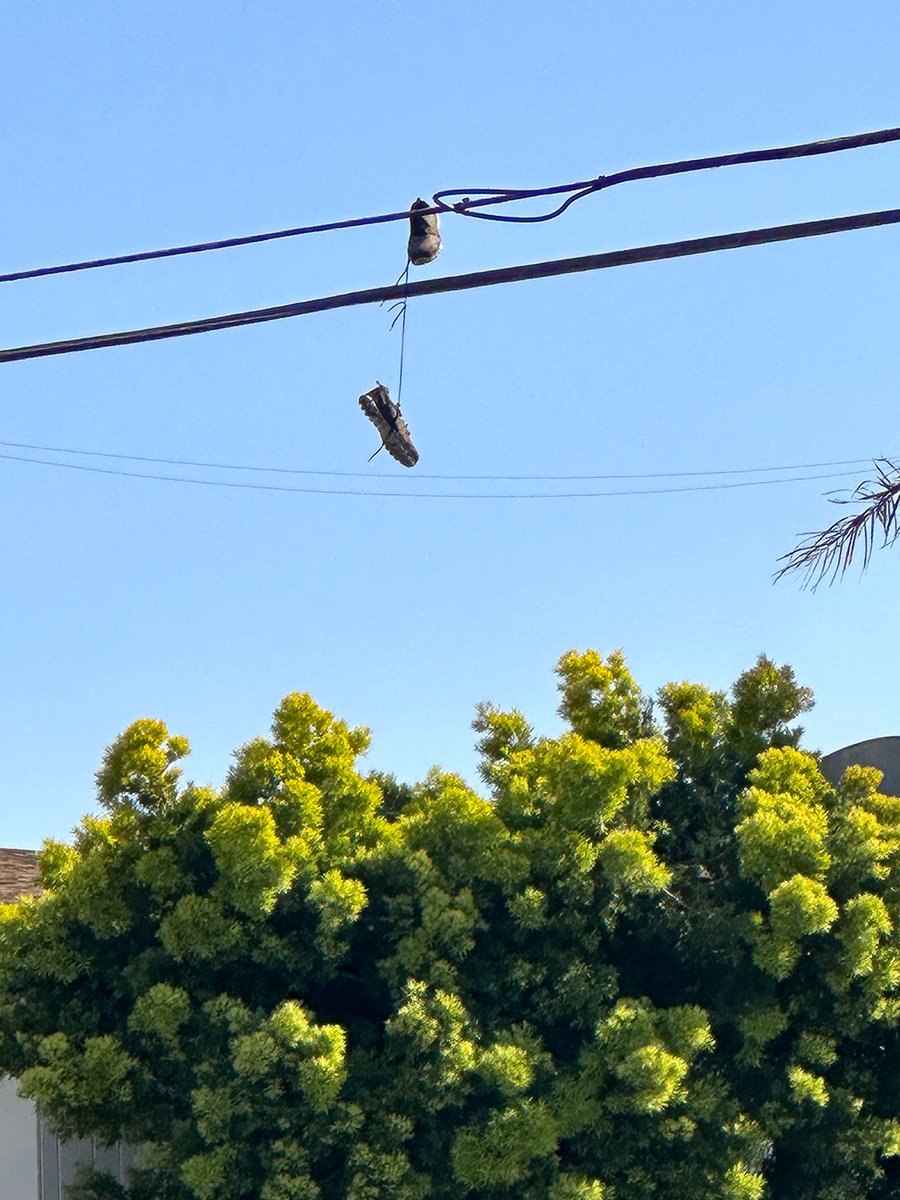 debdavisdesign's tweet photo. A little side trip to LA. Walking around Venice Beach. Sneakers on the Line. Love finding these. #Sneakers  #Trainers  #sneakersontheline #LosAngeles  #cityscape  #city  #mobilephotography https://t.co/Sz7fkmakPn