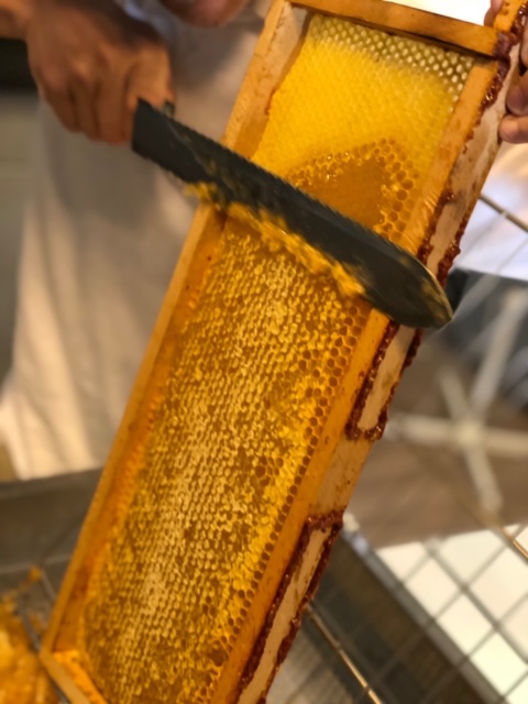 OrangeBFC's tweet photo. Partout dans la région, nous prenons des mesures simples pour préserver et développer la biodiversité :

🌲 puits carbone
🌿 fauche tardive (1 fois sur 4)
🥬 potagers collaboratifs
🐦 nichoirs 
🐝 ruches https://t.co/JjVGi8En7C