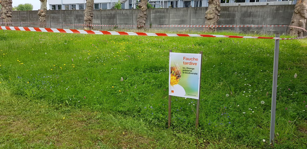 OrangeBFC's tweet photo. Partout dans la région, nous prenons des mesures simples pour préserver et développer la biodiversité :

🌲 puits carbone
🌿 fauche tardive (1 fois sur 4)
🥬 potagers collaboratifs
🐦 nichoirs 
🐝 ruches https://t.co/JjVGi8En7C