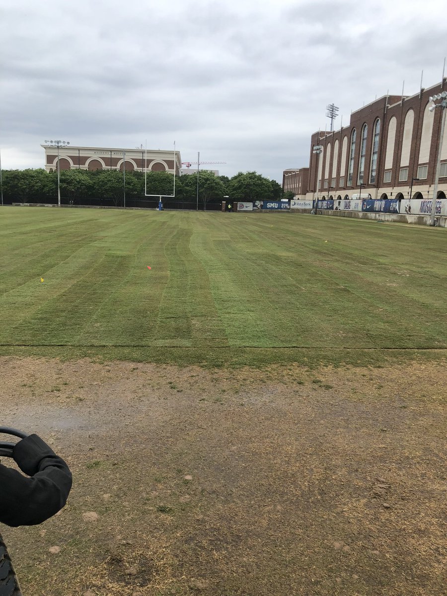 Aerifying Tif Tuf at SMU 12 days after installation!