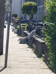 Compost not collected, 10th May Our compost bags have been out for two weeks we put them out when the app told us but they are still here

Nearest road to the pin placed on the map (automatically generated by Bing Maps): 29 Sapphire Street, Waunadda

Rep… ift.tt/cQ0zEOs