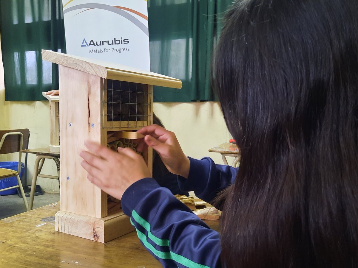 Estudiantes de enseñanza básica construyen hotel de insectos y aprenden a proteger fauna benéfica prensaagricola.cl/estudiantes-de…