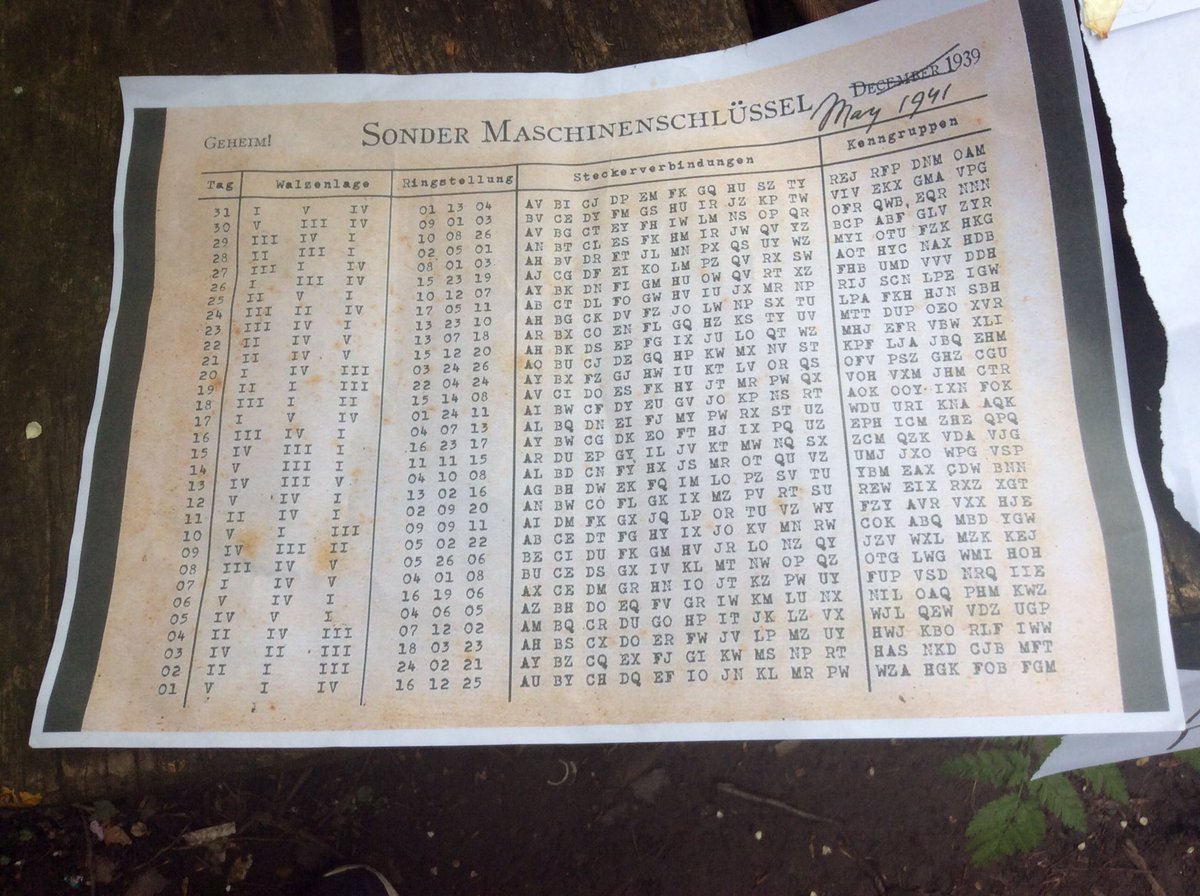 Hoyle Court Primary School tweet media