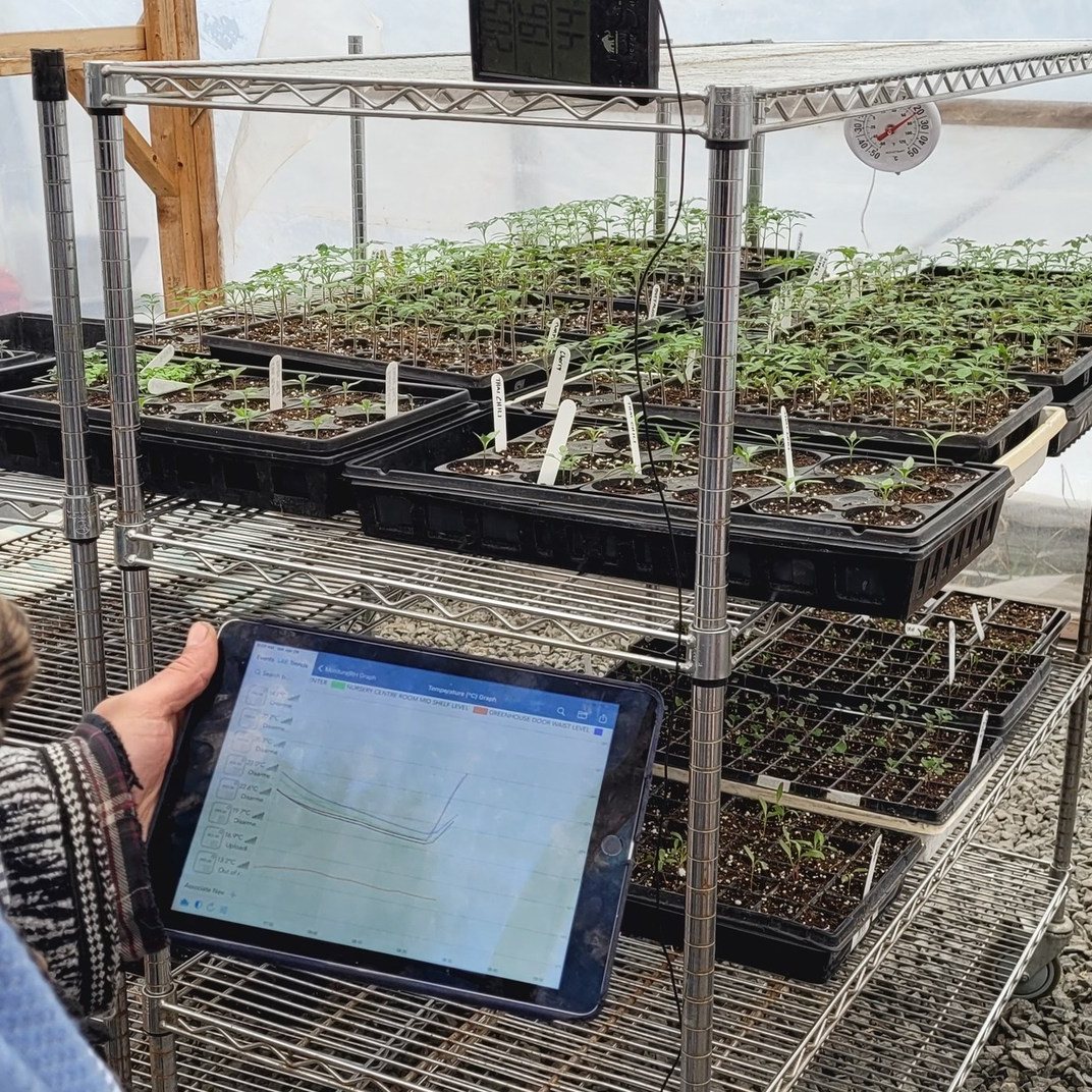 📷Capteurs installés pour une serre plus verte!📷

📷Sensors installed for a greener greenhouse!📷

#terraperma #permaculture #jardin #garden #gardening #gardenlife #gardendesign #greenhouse #vieenforêt #forestlife #glamping #outdooradventures #ecovillage #getaway #laurentides
