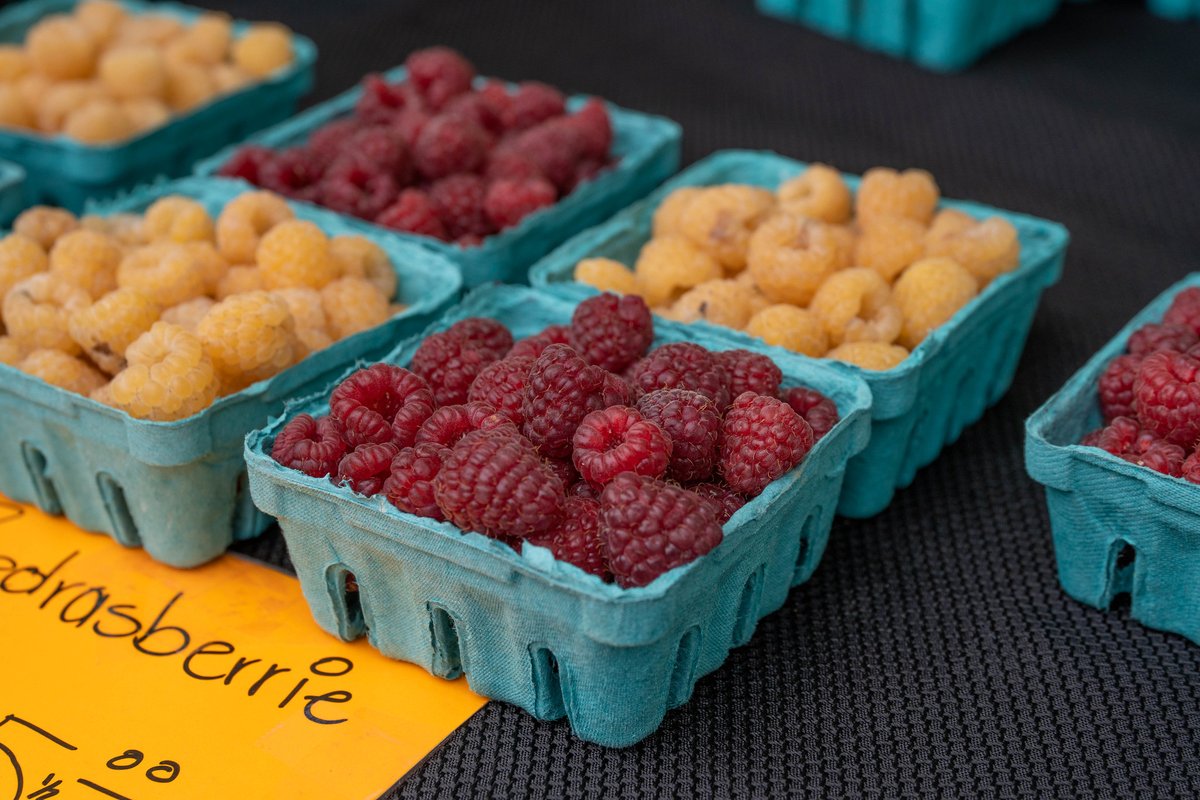 LocalFoodSafety's tweet photo. Two new podcast episodes of The Food Safety Dish! We've got "Bac-to-Basics" with @Produce_Safety director Betsy Bihn, and "Forming a Food Safety Plan" with central Texas farmer Lorig Hawkins.

Tune in via https://t.co/rfDDpp0KQ6 or your favorite podcast platform! https://t.co/P8DnPh7g4O