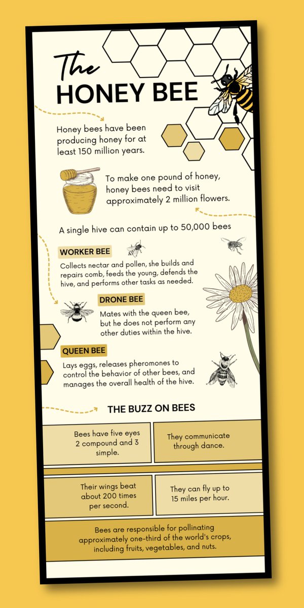 May 20th is World Bee Day! 🐝🌍 To celebrate these incredible pollinators, I'm sharing a free infographic all about honey bees! Did you know that honey bees are the only insect that produces food eaten by humans?#WorldBeeDay #SaveTheBees #honeybees
drive.google.com/drive/folders/…