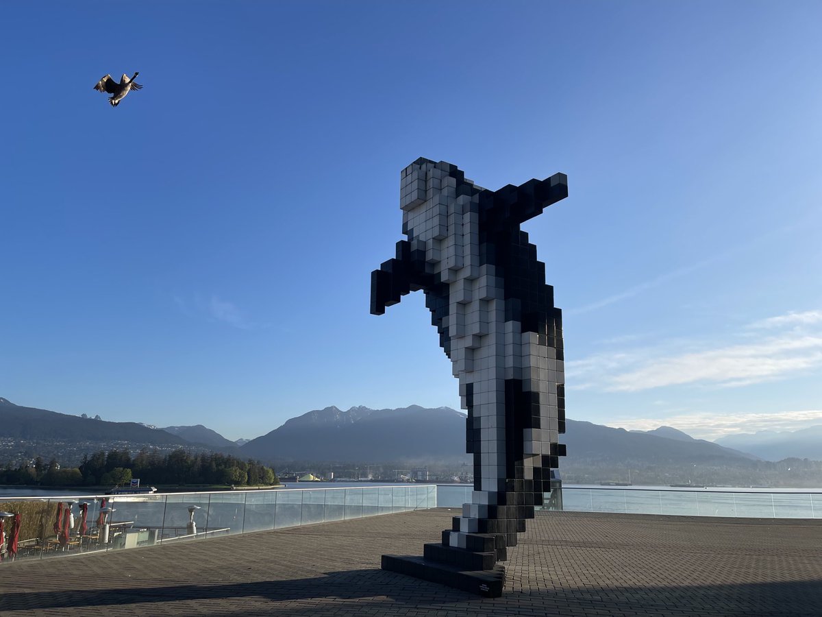 A beautiful morning in Vancouver &amp; I spotted a goose so it will be an auspicious day