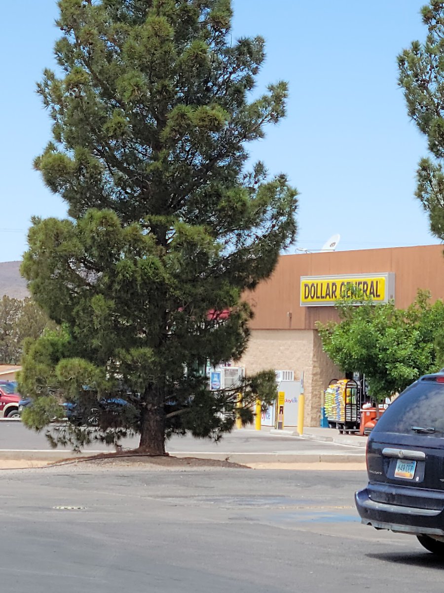 New town every hour on Twitter "Doña Ana, New Mexico Population 851