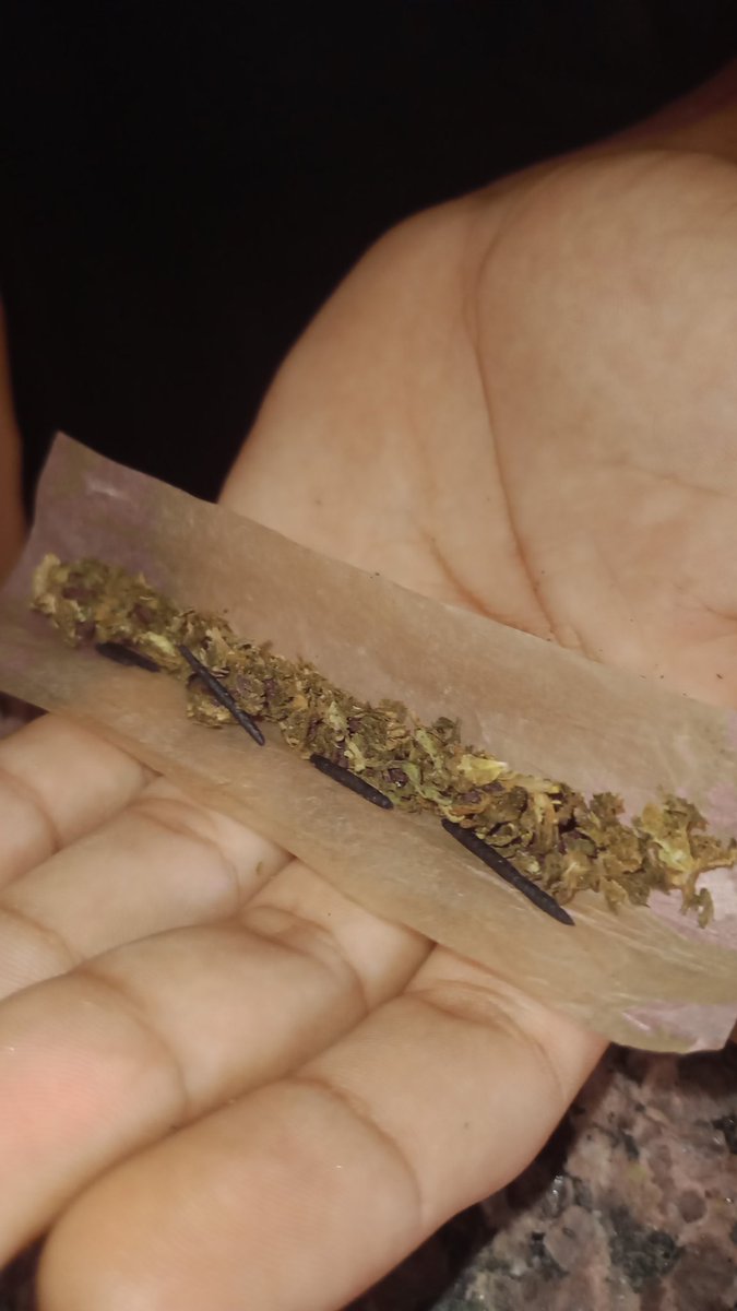 le_fidelix's tweet photo. 🍁🍁🚀 https://t.co/wGv9piATaV